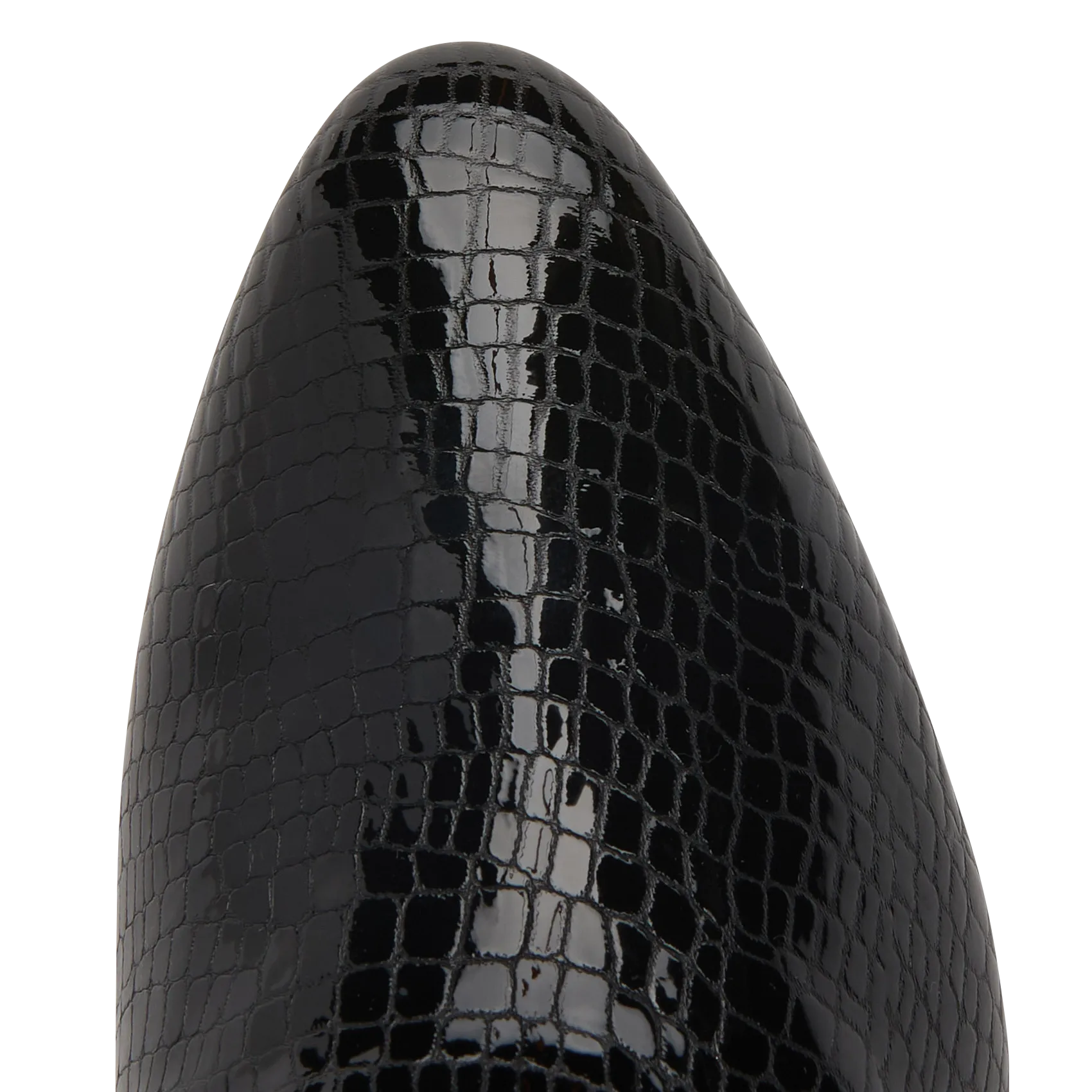  FREE LANCE   CELESTE 65 - Stivale con tacco in pelle di serpente lucida | Nero