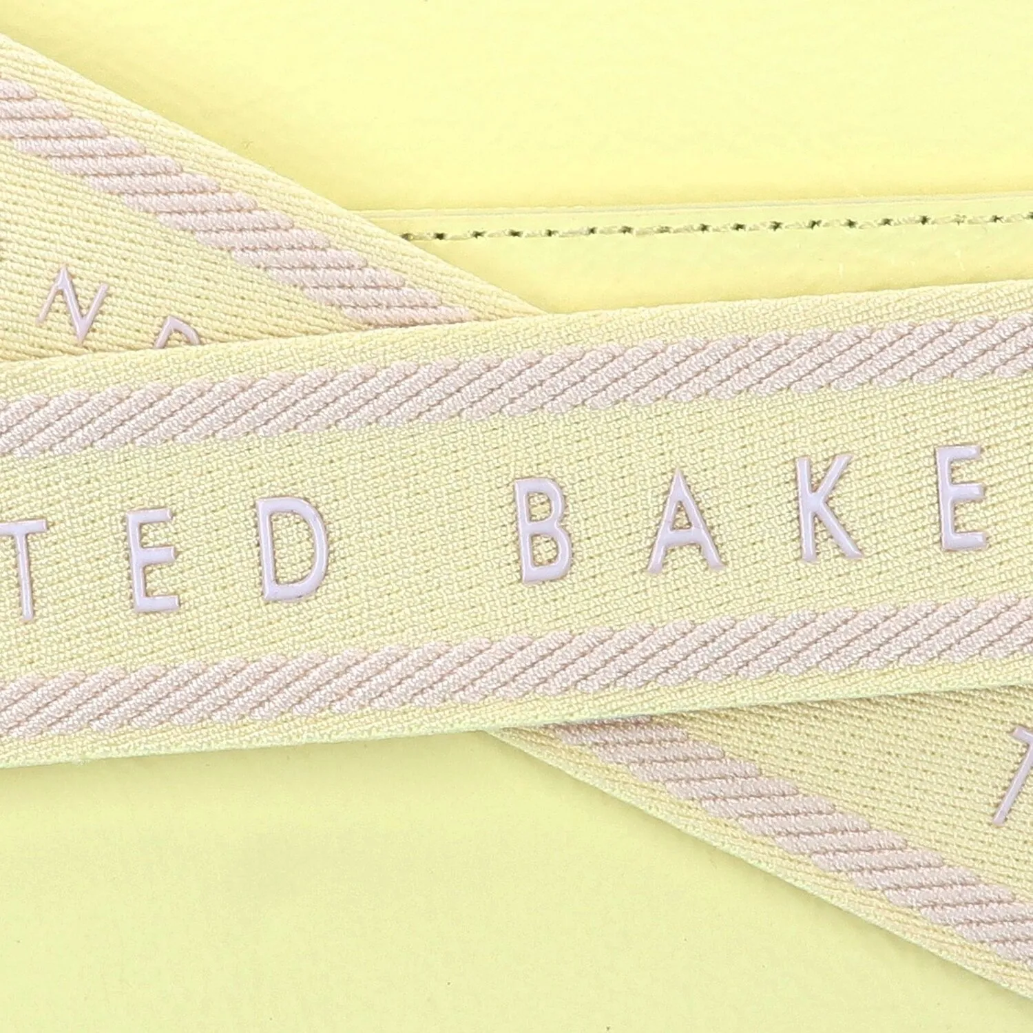 Ted Baker Stunnie Mini Borsa Borsa a tracolla Pelle 17 cm